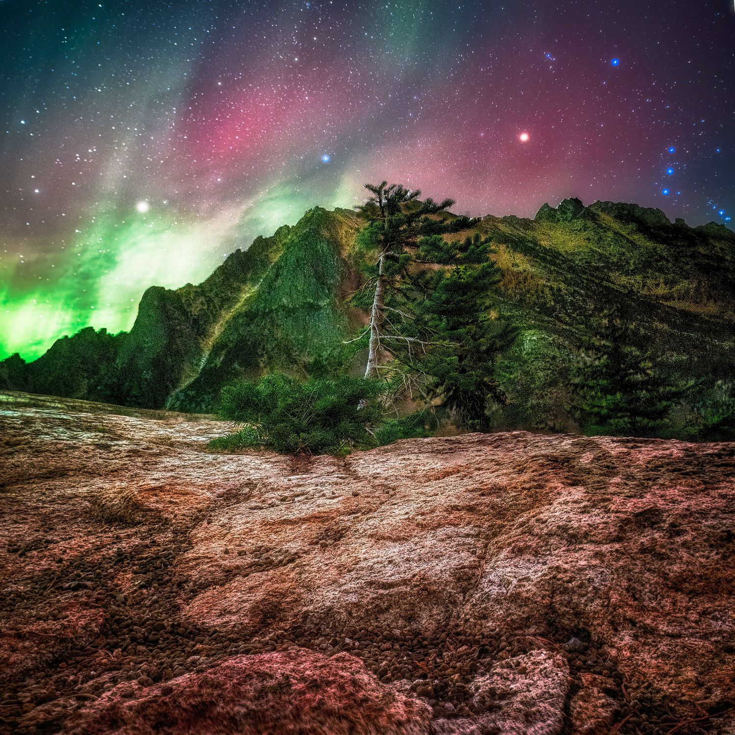 Northern lights display over rugged mountain terrain with evergreen trees in foreground.