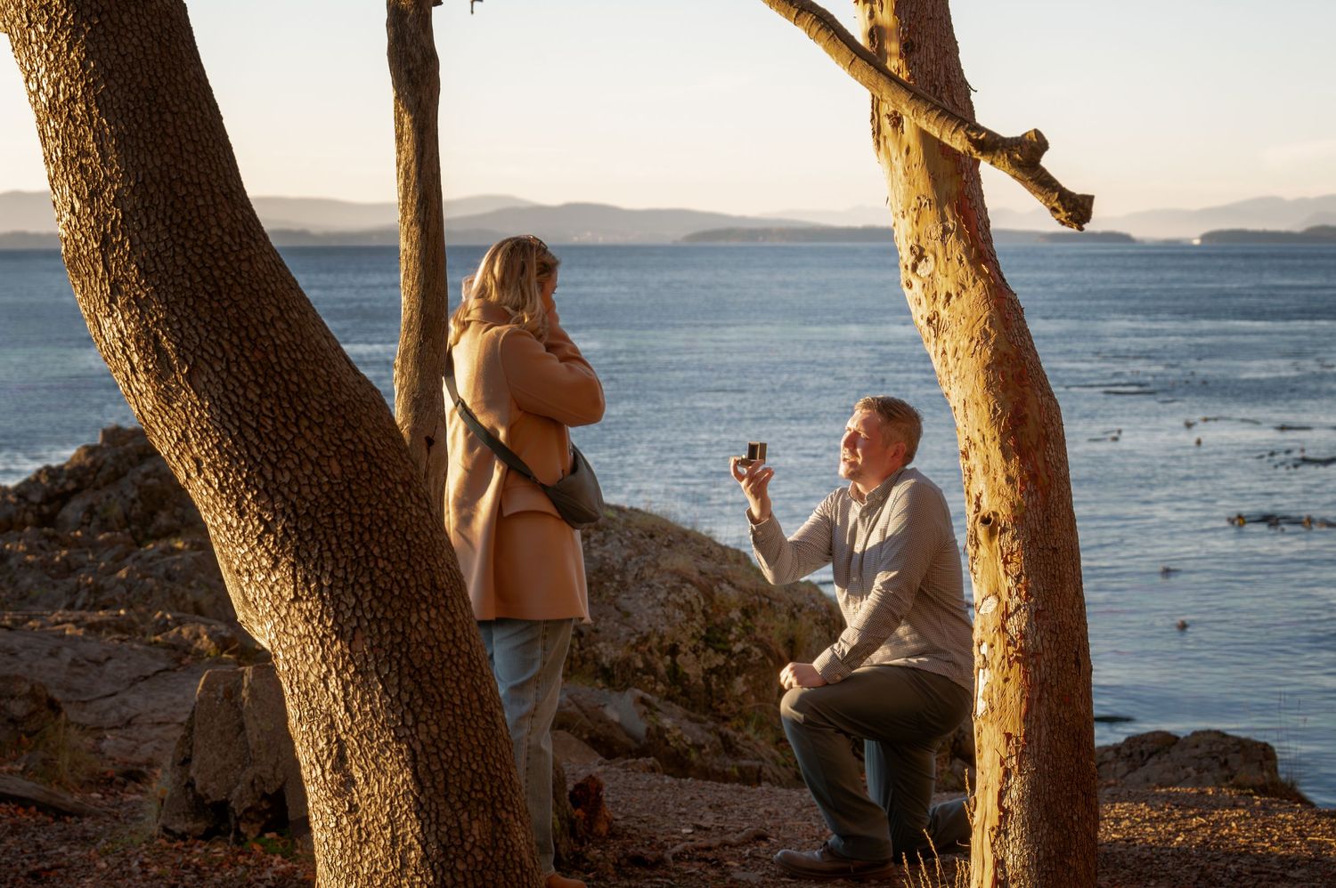 Scenic marriage proposal moment by the ocean with trees framing the scene.