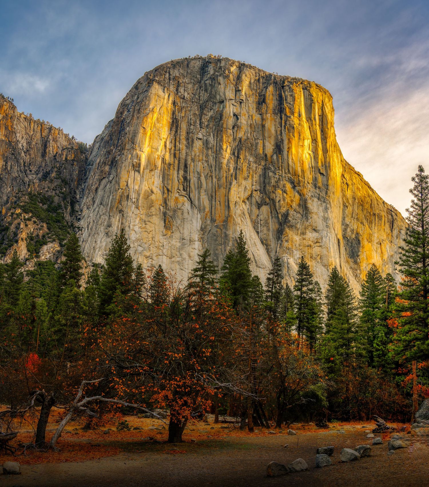 El Capitan's granite face glows golden in evening light at Yosemite National Park.