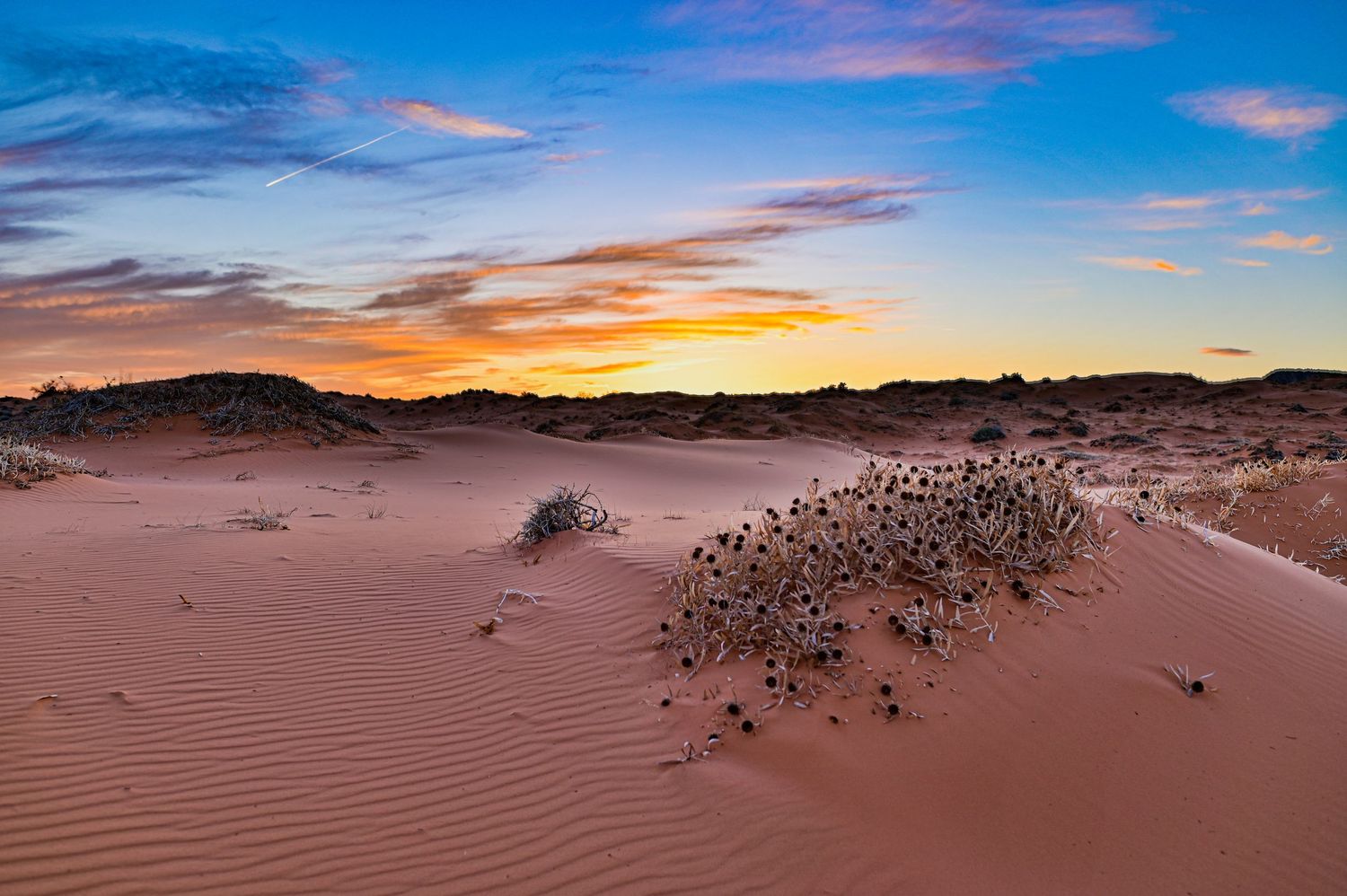Desert sand dunes glow orange and pink during sunset with sparse vegetation dotting the landscape.