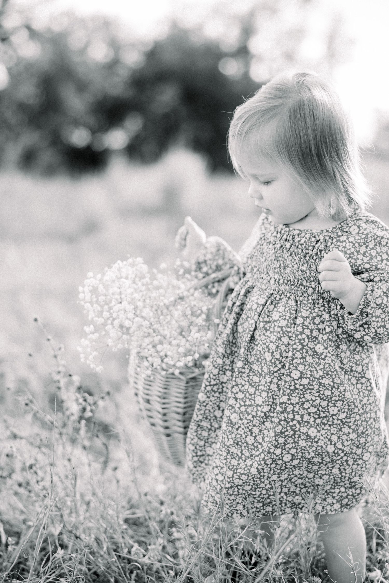 Tampa Family Photographer Tampa Newborn Photographer Tampa Maternity Photographer Heather Walker Photography Outdoor Florida family session