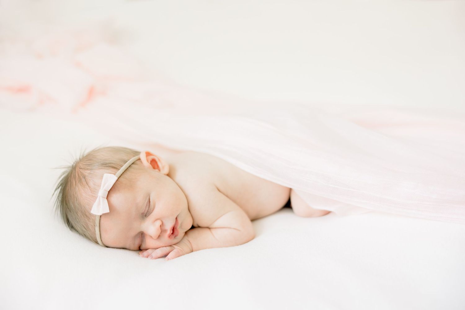 Tampa Family Photographer Tampa Newborn Photographer Tampa Maternity Photographer Heather Walker Photography newborn Photographer