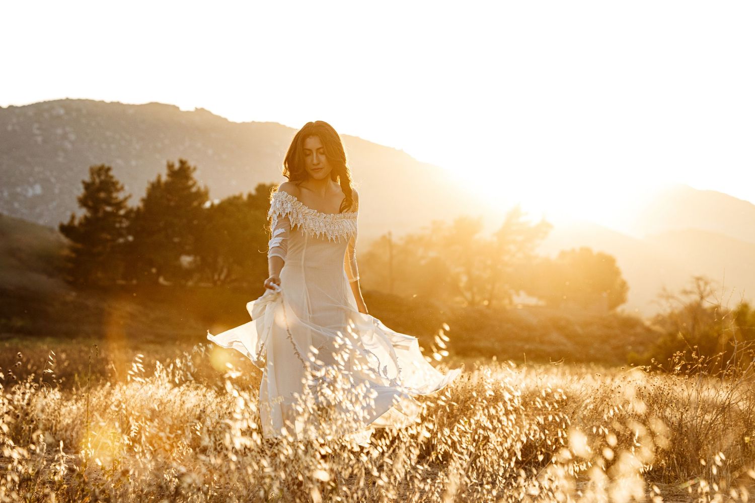 Golden sunlit field of tall grass at sunset with warm hazy glow creating a dreamy summer atmosphere.