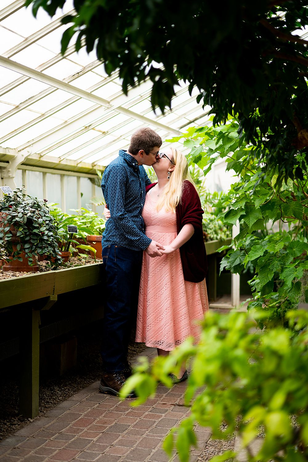 A couple shares a romantic moment among lush greenery inside a sunlit greenhouse with brick pavement.