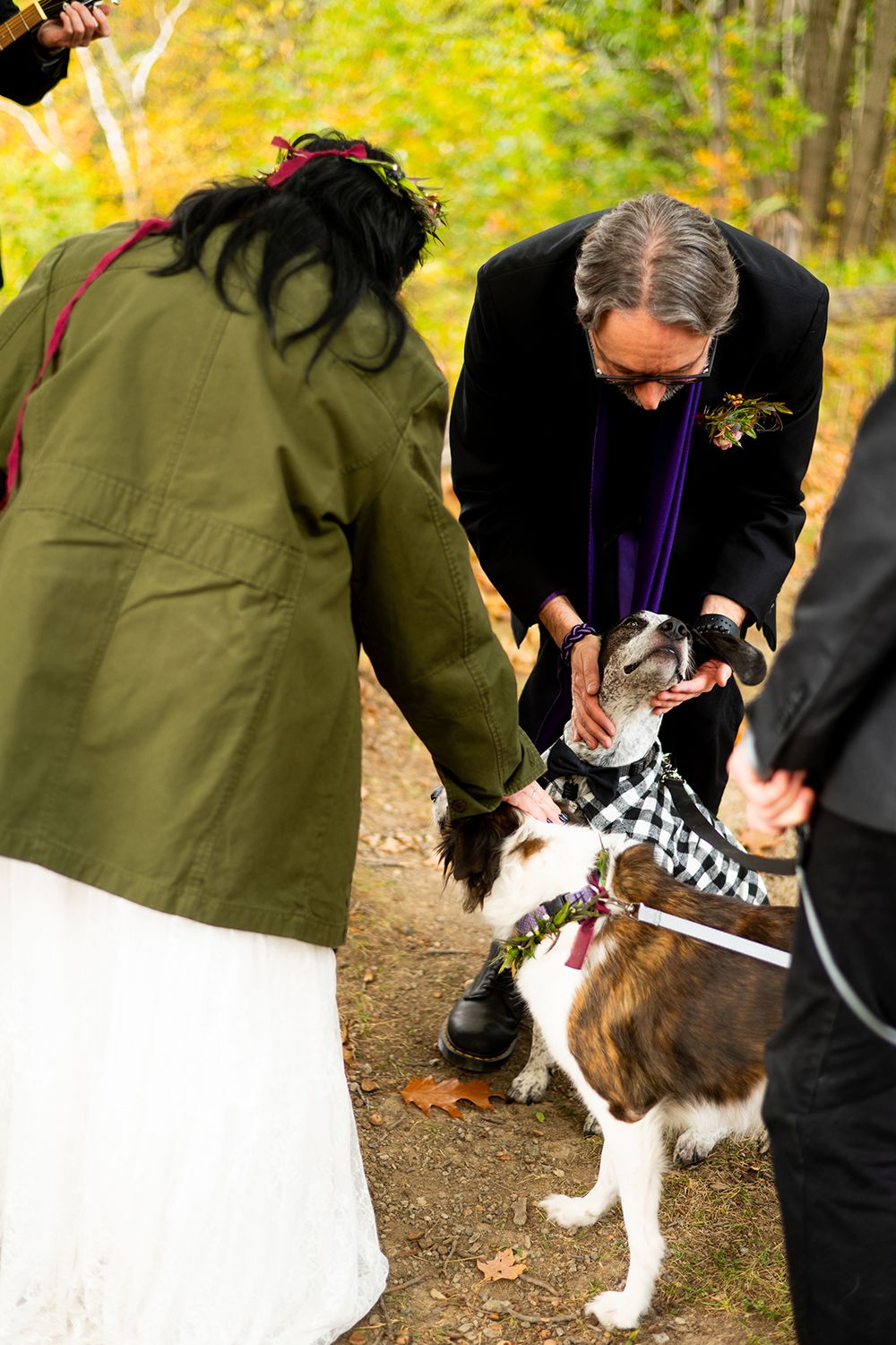 Dog in checkered bandana meets with people outdoors during autumn as colorful yellow foliage appears in background.