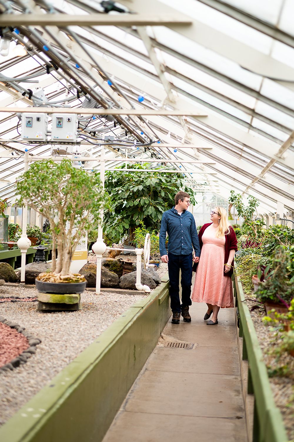 Two people walking together through a sunny greenhouse filled with plants and trees along raised garden beds.