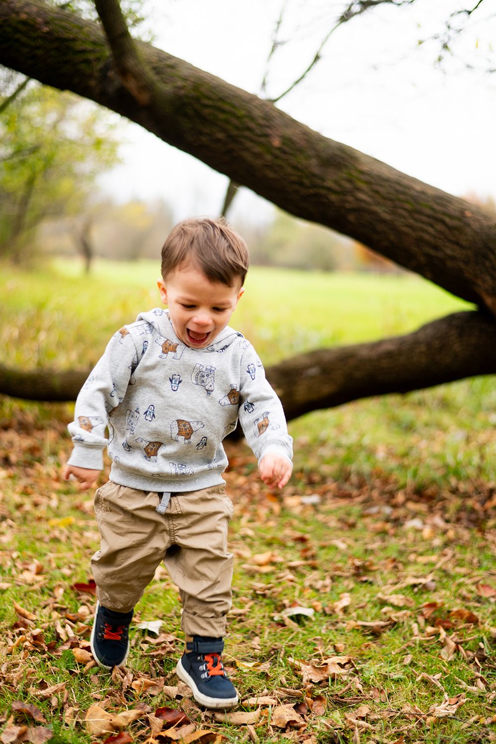 Joyful toddler in a printed sweatshirt plays among fallen leaves near a fallen tree in an autumn setting.