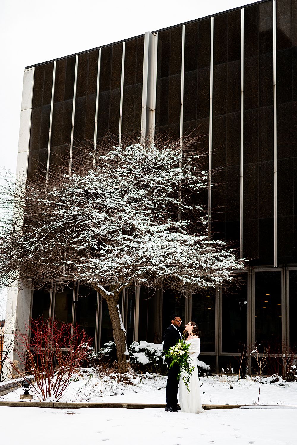 A snow-covered tree blooms white against a modern dark building facade with two people standing beneath it.