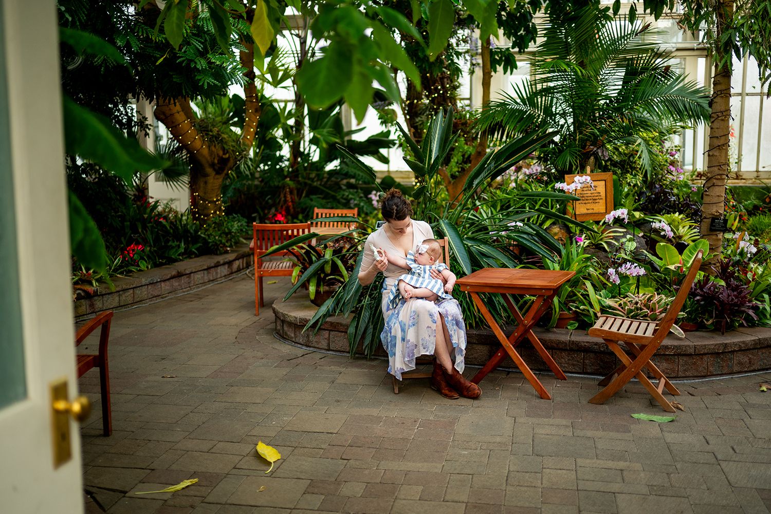 A greenhouse or conservatory interior with potted plants and wooden furniture creates a peaceful garden atmosphere.