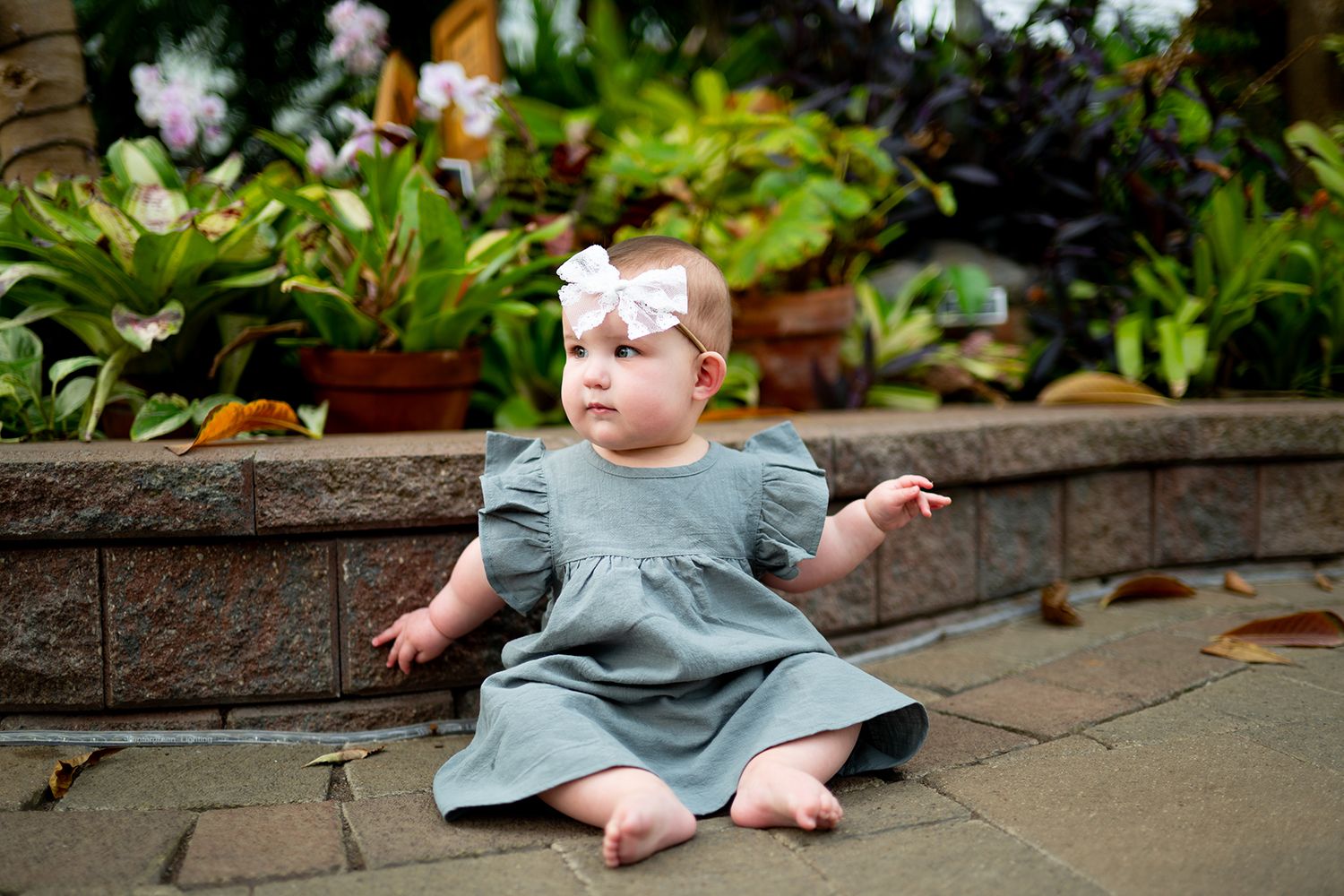 Baby wearing gray dress sitting by garden wall with lush greenery in background.