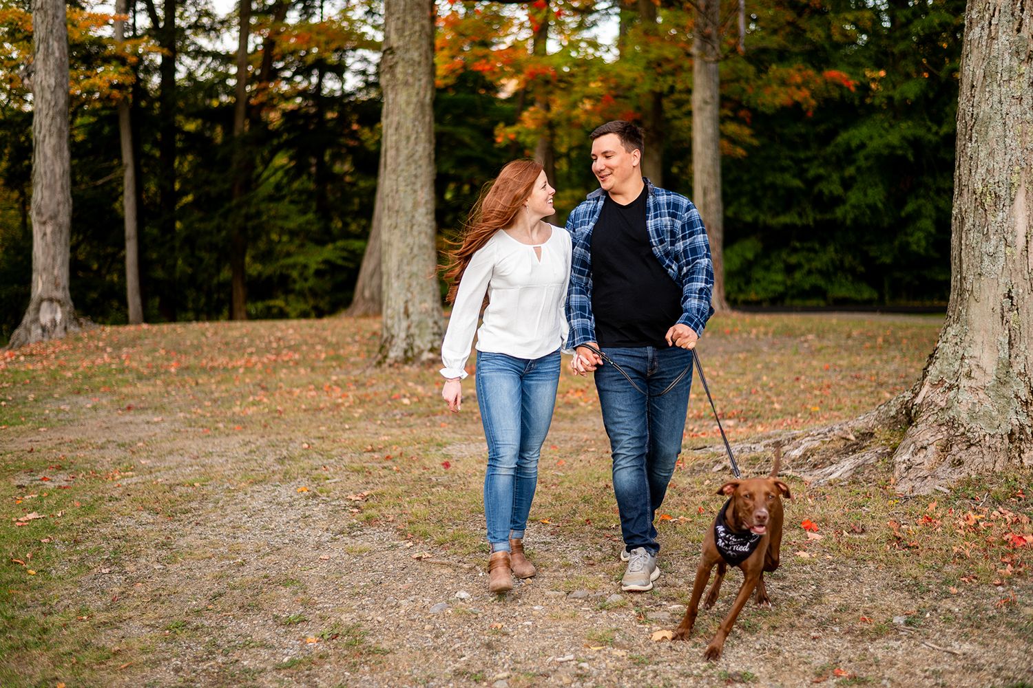 A couple walks their brown dog along an autumn forest trail with fallen leaves and tall trees.