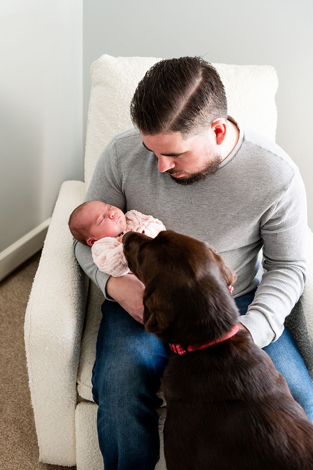 A chocolate Labrador watches curiously as its owner holds a newborn baby on a white couch.