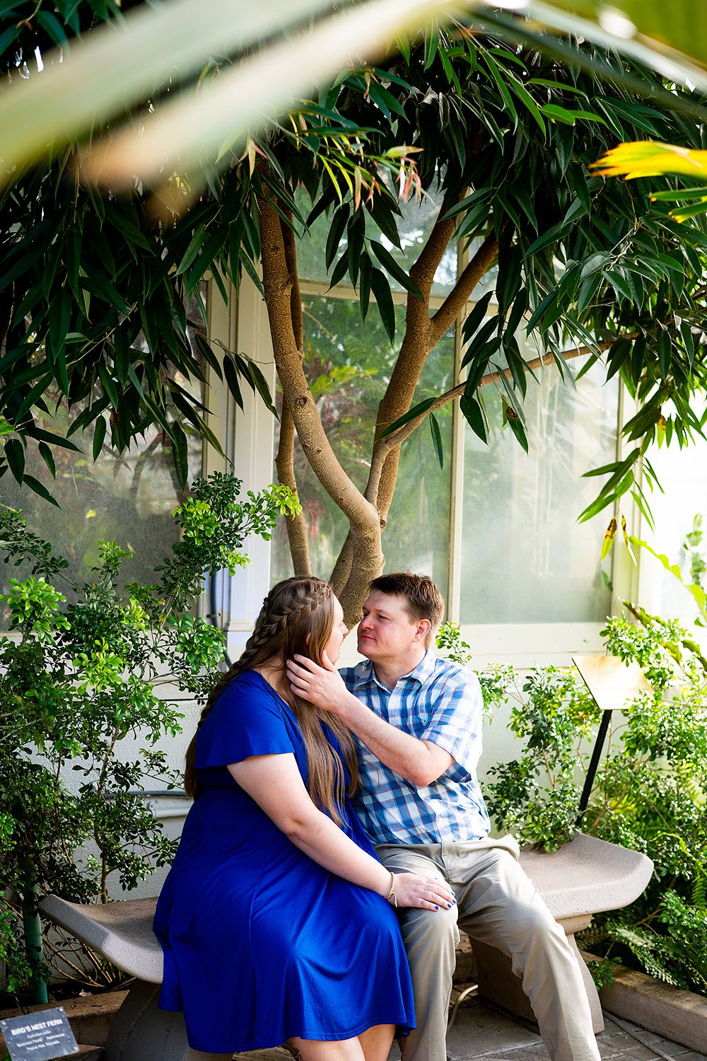 A couple shares a romantic moment while sitting on a bench under a lush tree in a garden conservatory.