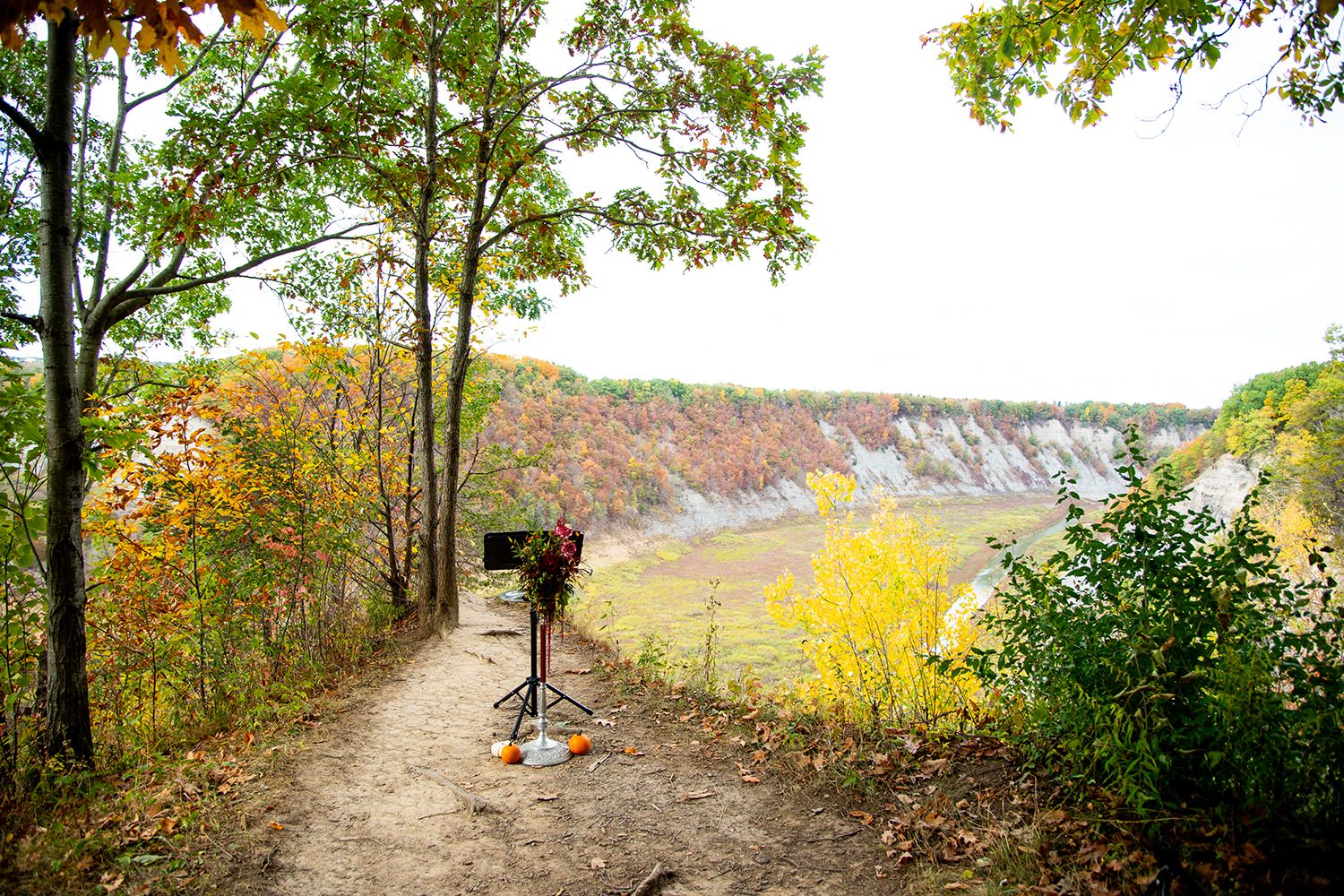 Panoramic view of autumn forest with colorful fall foliage and winding dirt path through the trees.