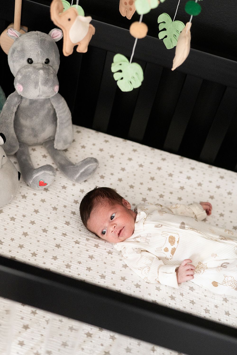 A baby lies in a crib decorated with plush toys and botanical-themed mobile decorations.