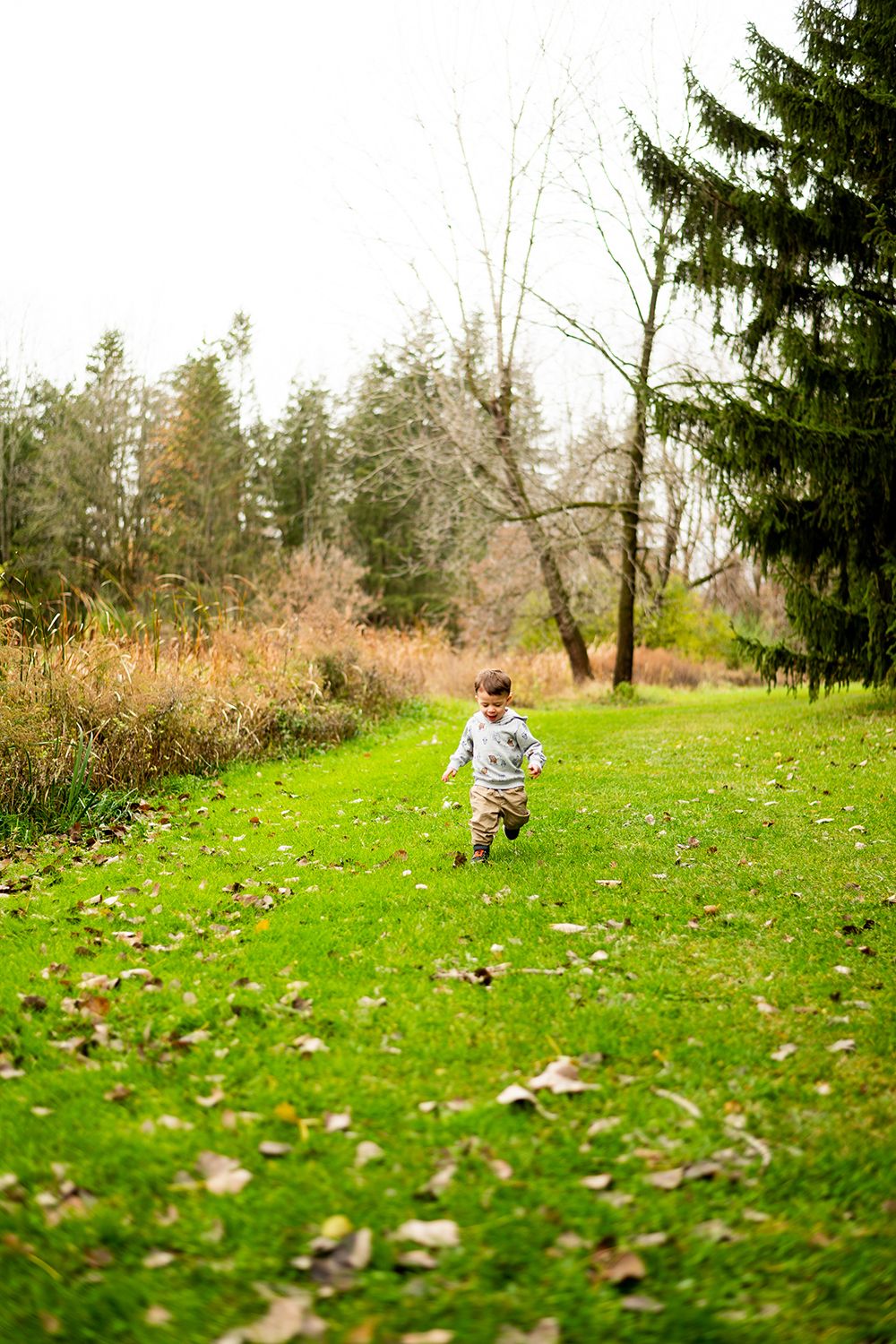A child runs through a grassy field surrounded by evergreen trees and scattered autumn leaves.