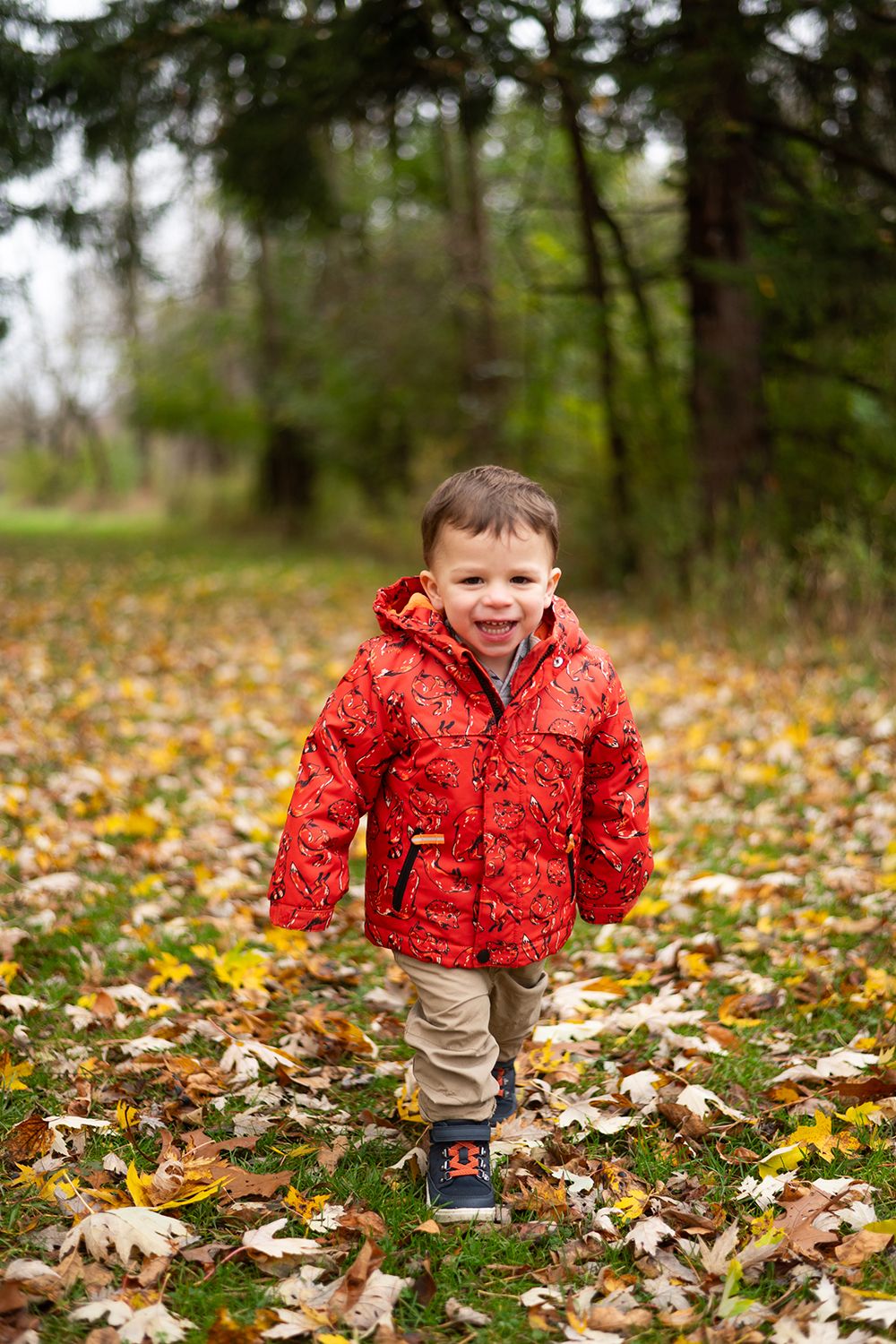 A child wearing a red patterned jacket stands among fallen autumn leaves in a forest setting.