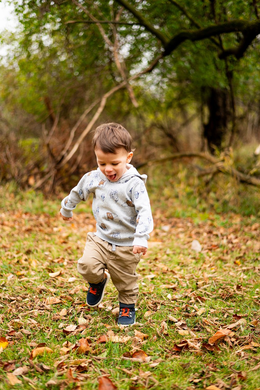Toddler wearing gray sweater and khakis plays in autumn leaves on wooded walking trail.