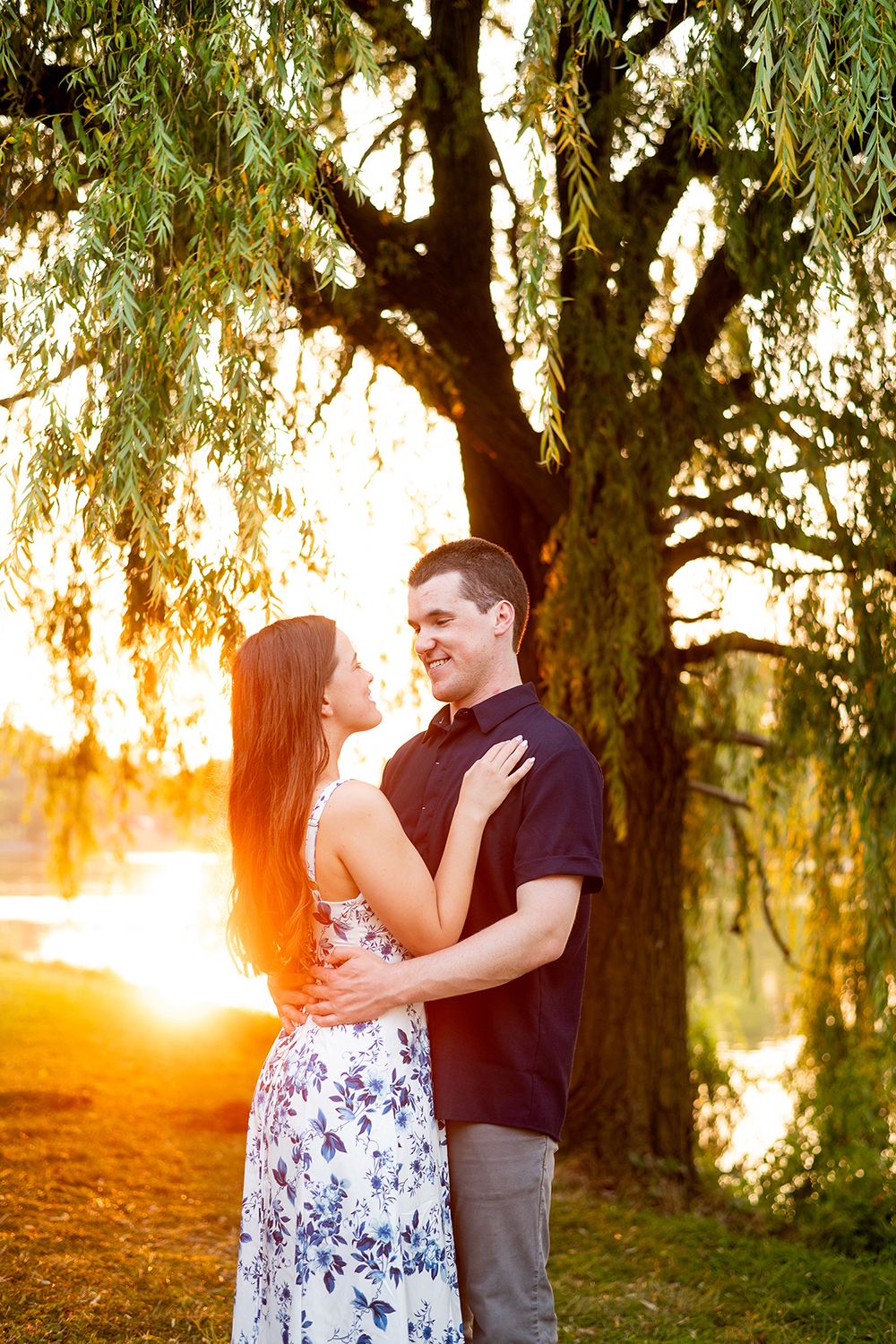 A romantic couple embraces under a weeping willow tree during golden sunset.