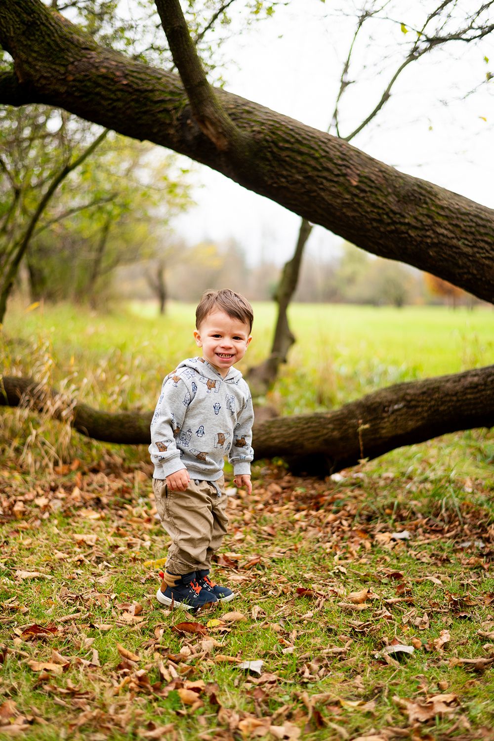 Small child in gray sweatshirt standing near fallen tree trunk in autumn forest setting.