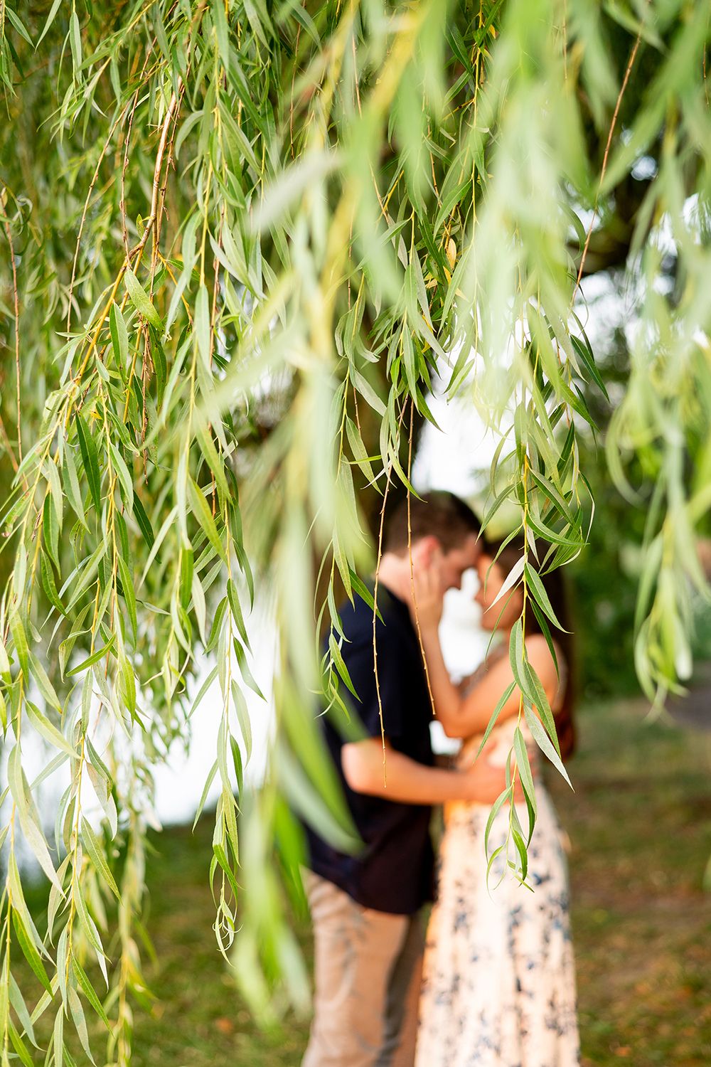 A romantic scene beneath drooping willow tree branches on a sunny day framed by soft green leaves.