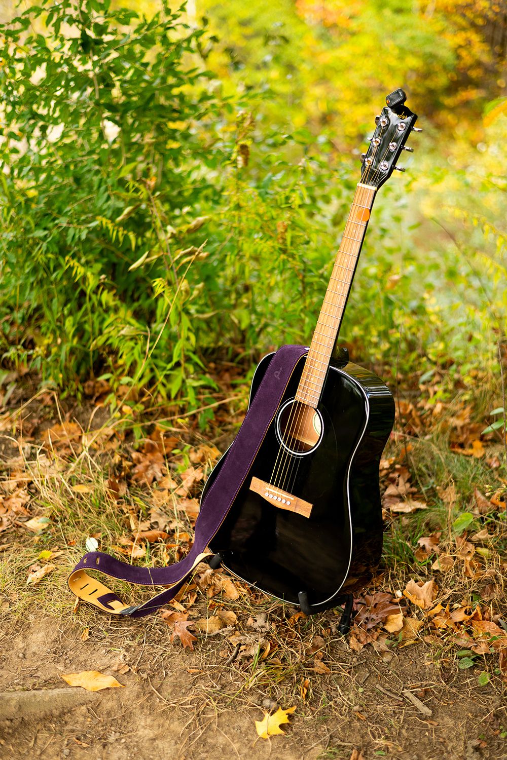 Black acoustic guitar resting against autumn foliage background with yellow leaves and green plants.