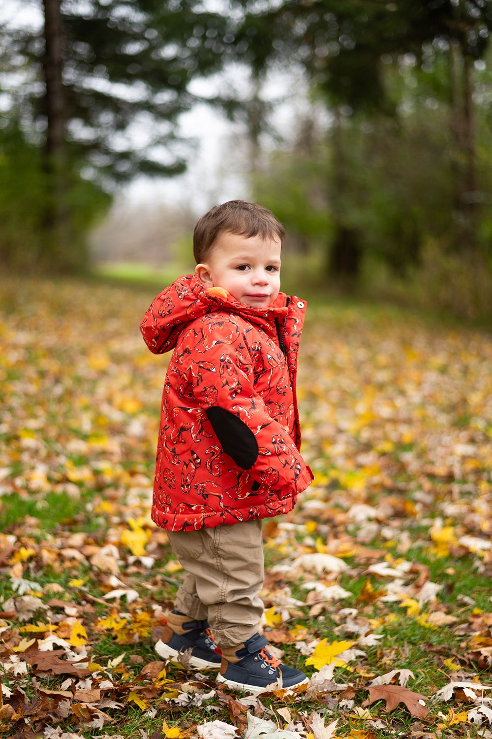 Toddler in a red printed jacket stands among fallen autumn leaves in a wooded setting.