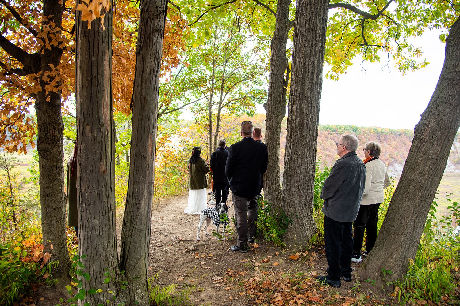 A group of people walking along a wooded trail in autumn with colorful fall foliage and tall trees.