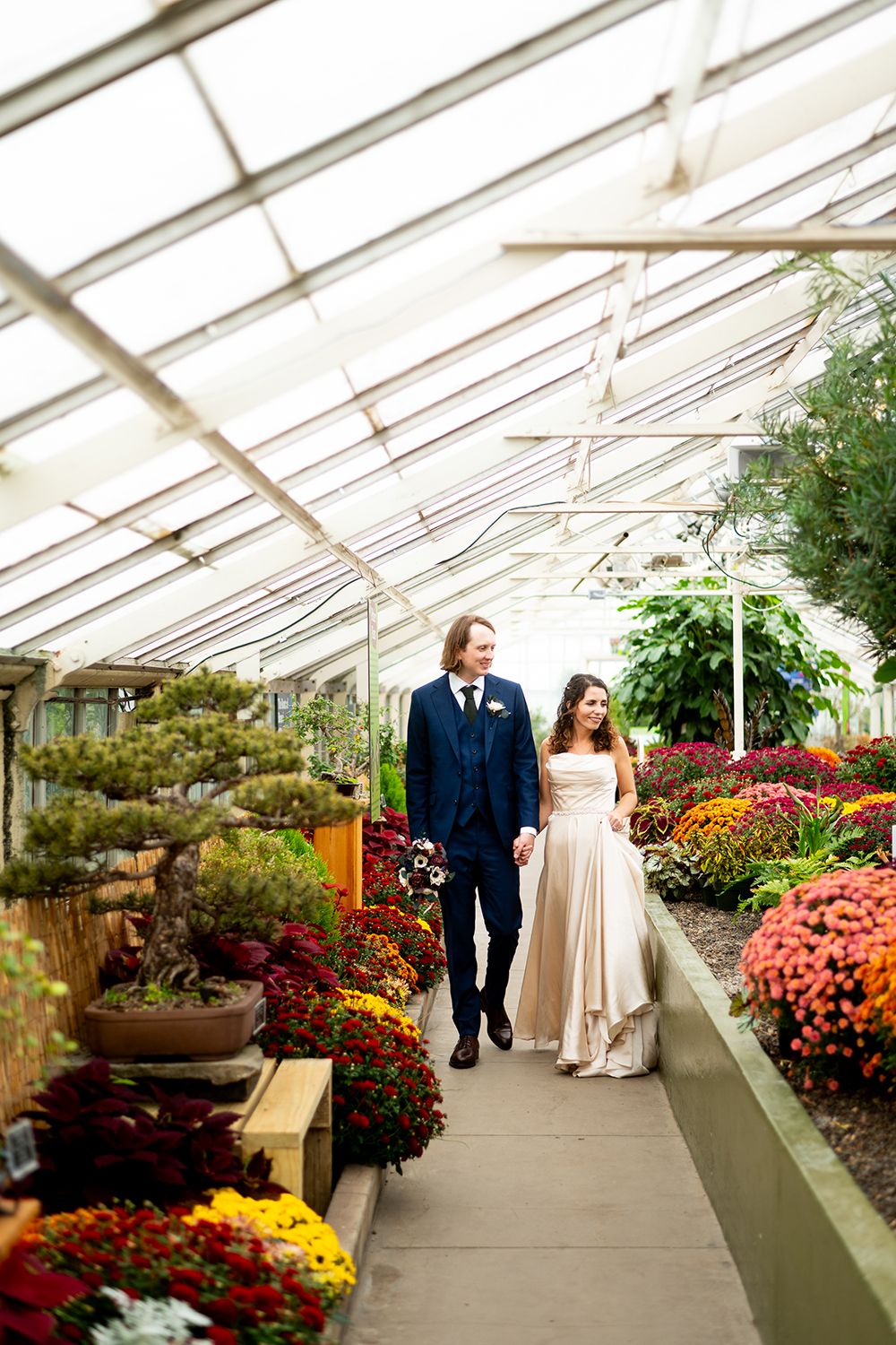 Wedding couple walking through a greenhouse conservatory filled with colorful fall chrysanthemums.