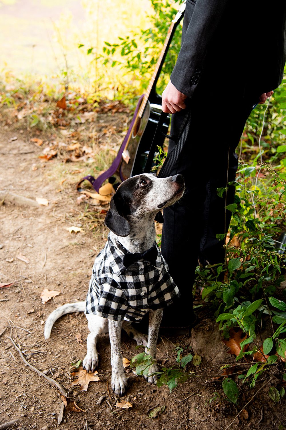 A black and white spotted dog wearing a checkered bandana sits on a dirt path looking upward.
