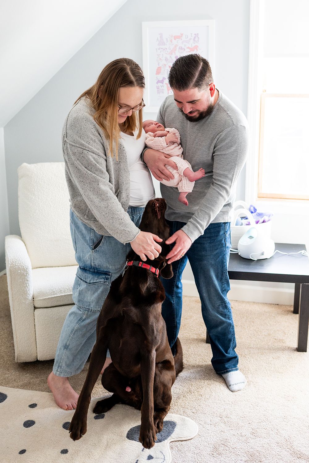 A couple holds their newborn while petting their chocolate Labrador dog in a cozy living room.