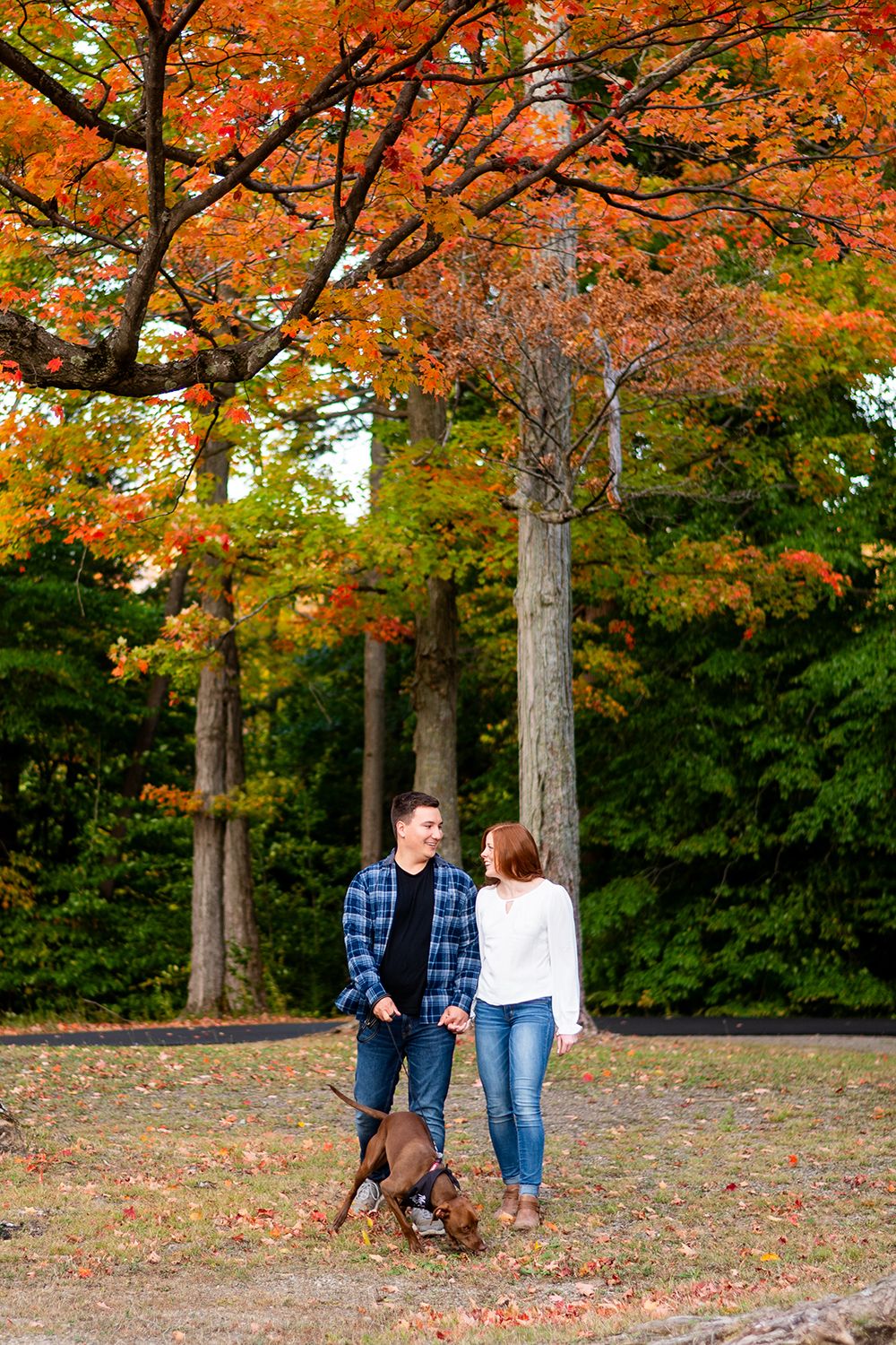 A couple walks through vibrant fall foliage in a park while autumn leaves blanket the ground beneath tall trees.