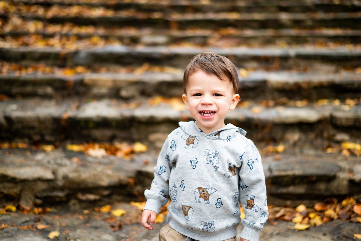 A cheerful toddler in a printed gray sweatshirt stands on autumn-covered stone steps outdoors.