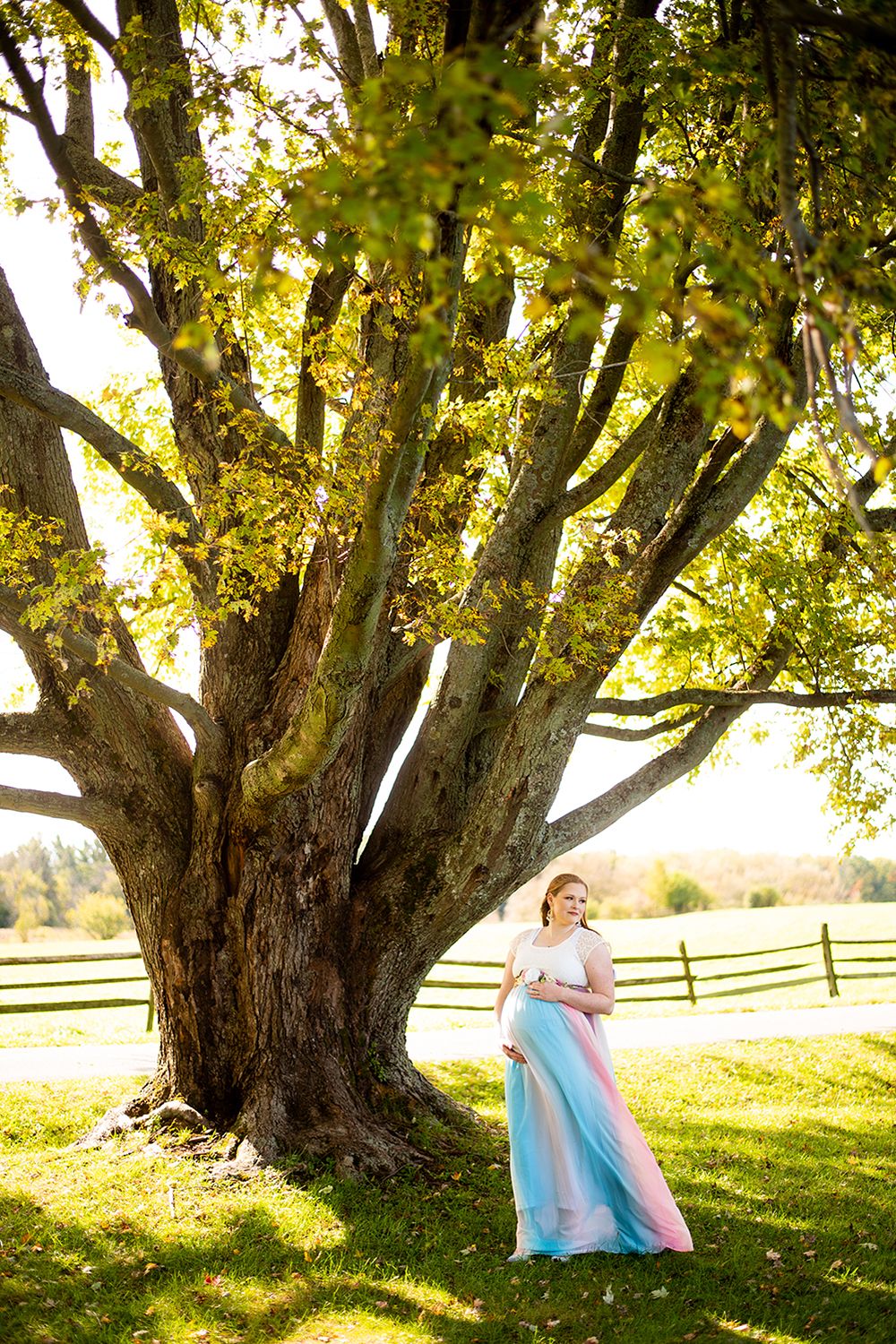 Four connected photos show a romantic outdoor scene under a majestic old tree on a sunny afternoon in a pastoral setting.