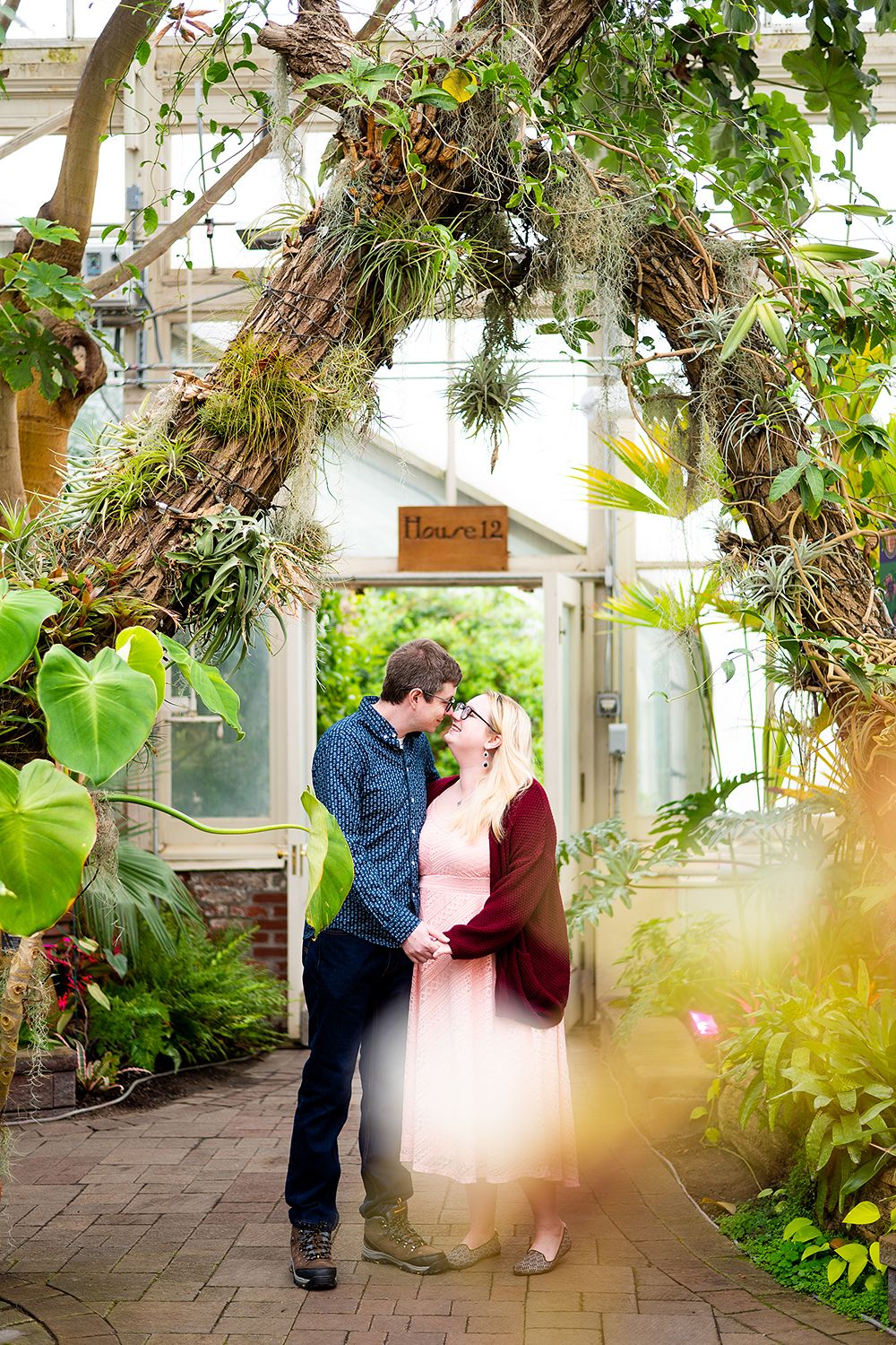 Couple embraces in romantic greenhouse setting surrounded by lush tropical plants and vines under natural lighting.