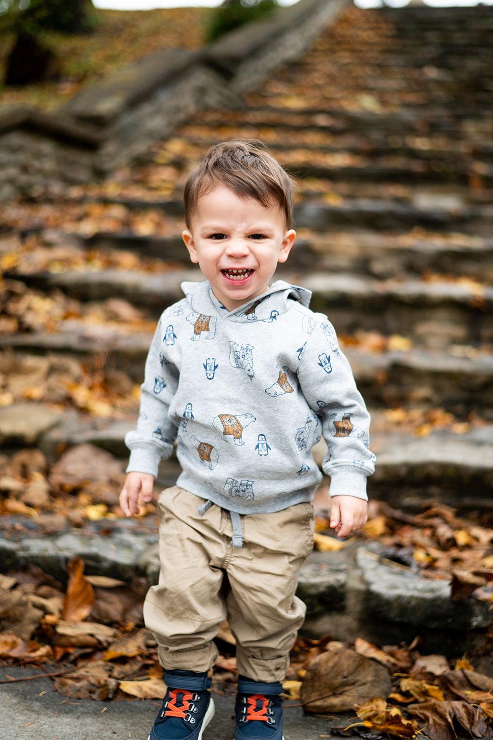 A small child wearing a patterned gray hoodie and khaki pants stands on leaf-covered stone steps during autumn.