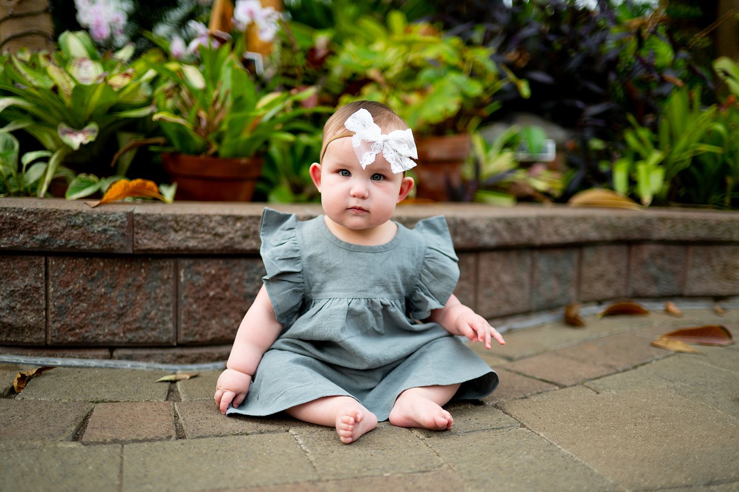 Little one in a grey shirt crawls along a garden path surrounded by lush greenery and flowers.