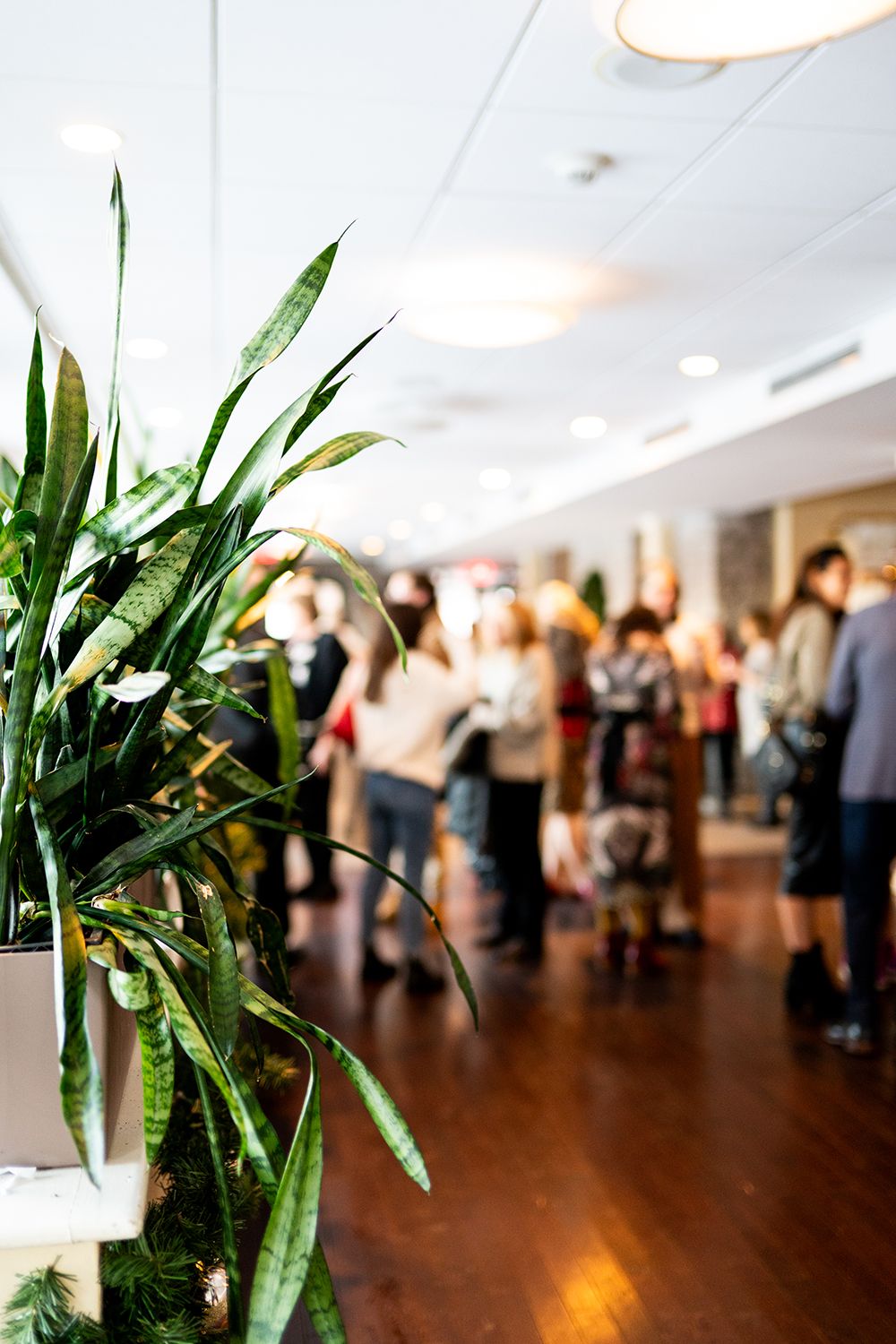 A tall green plant in focus with blurred people mingling at a social gathering in the background.
