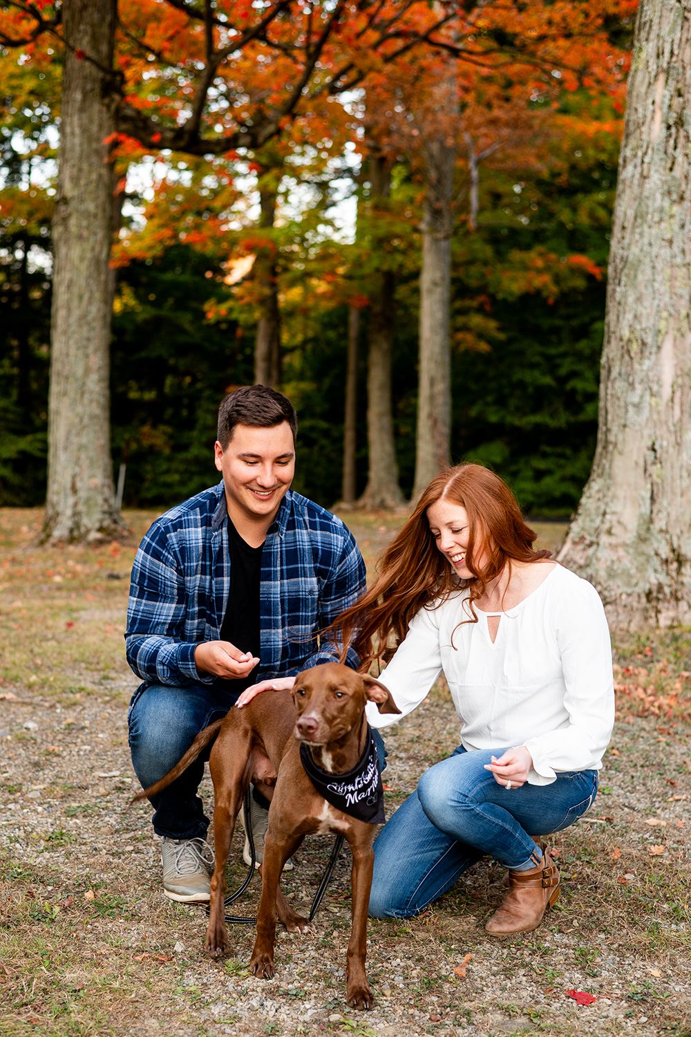 A couple plays with their chocolate lab dog among tall trees during a fall photoshoot.