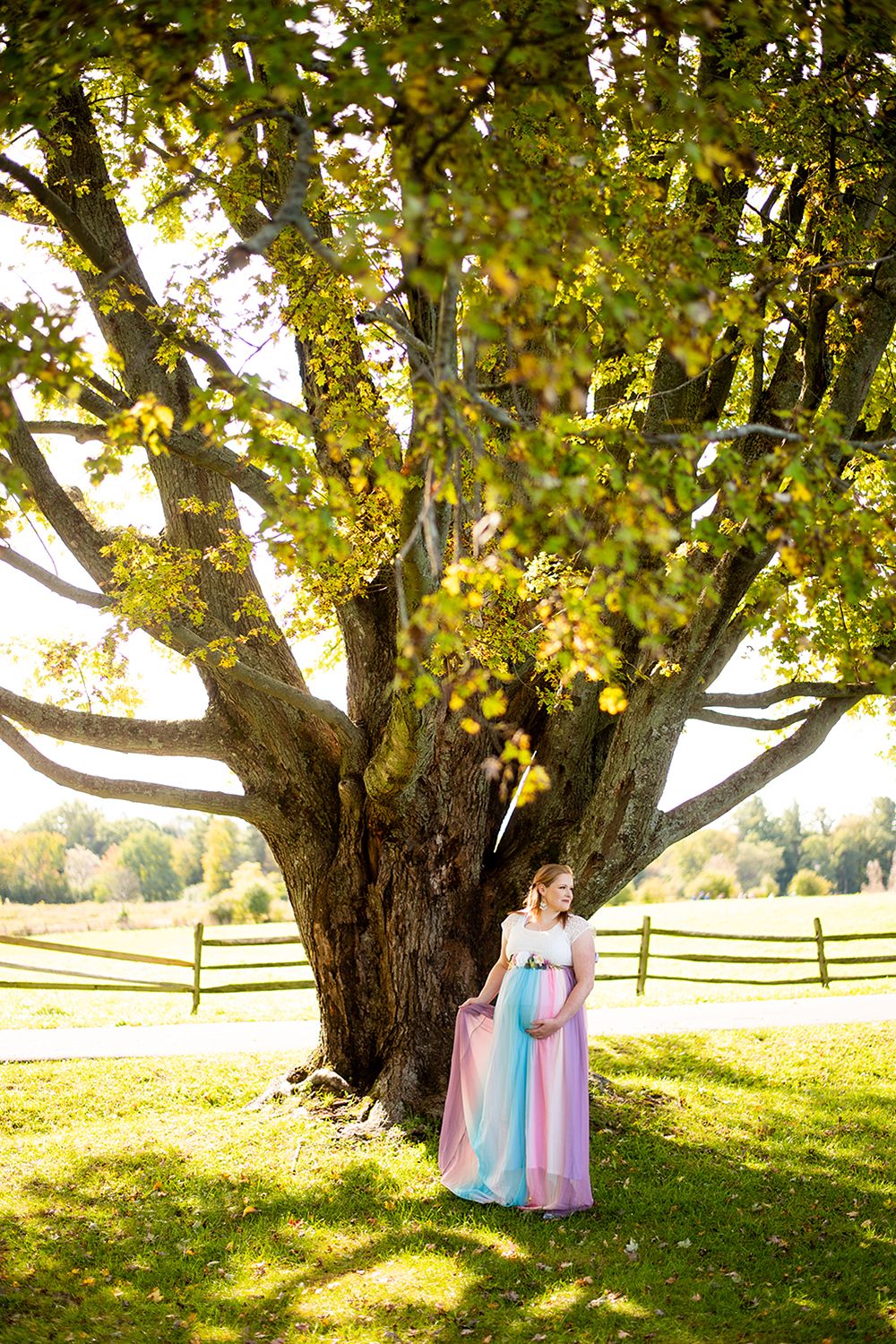 Three dresses hang beneath a large maple tree in a grassy field at sunset creating a dreamy wedding scene.