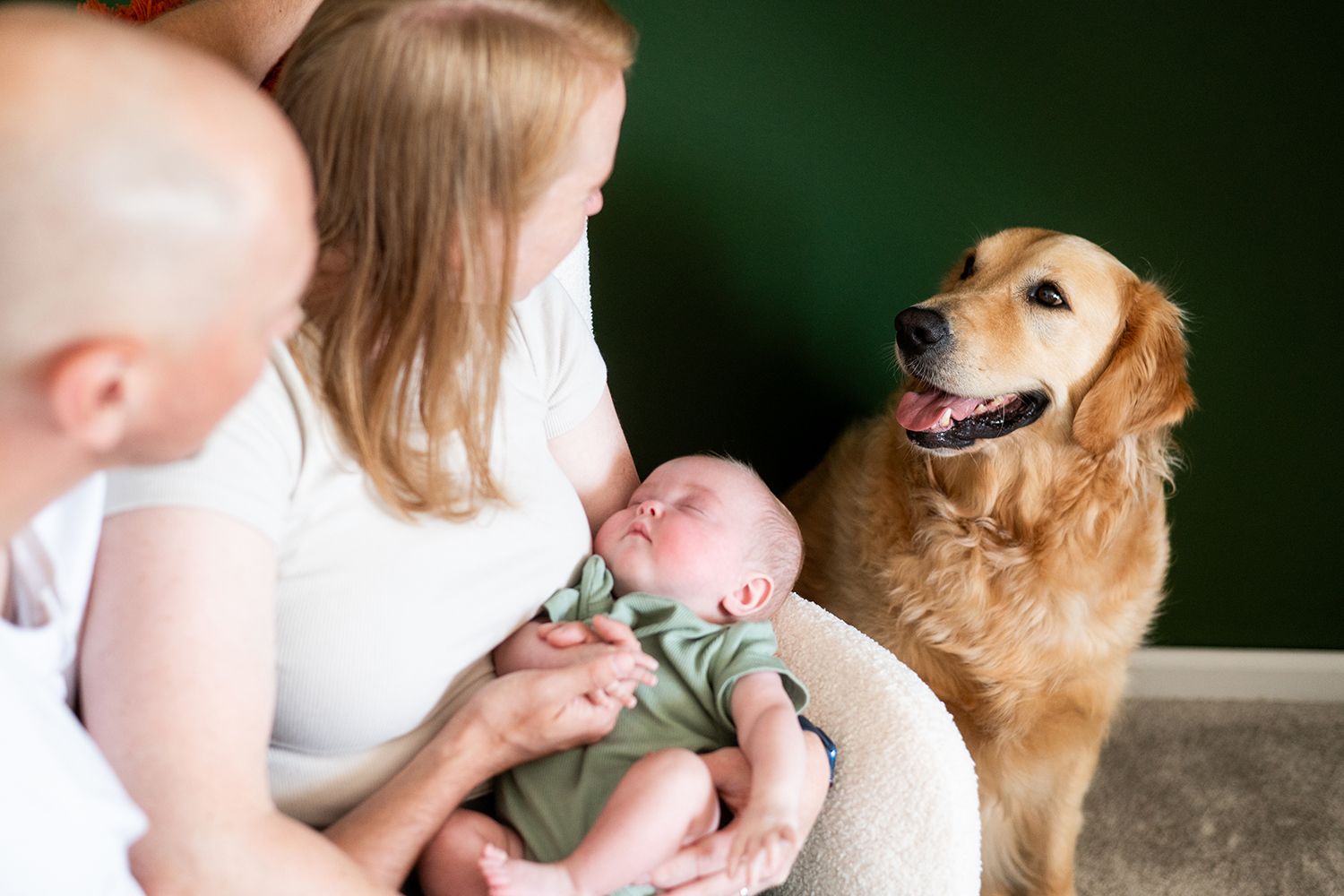 A happy Golden Retriever smiles while sitting next to a family on a couch.