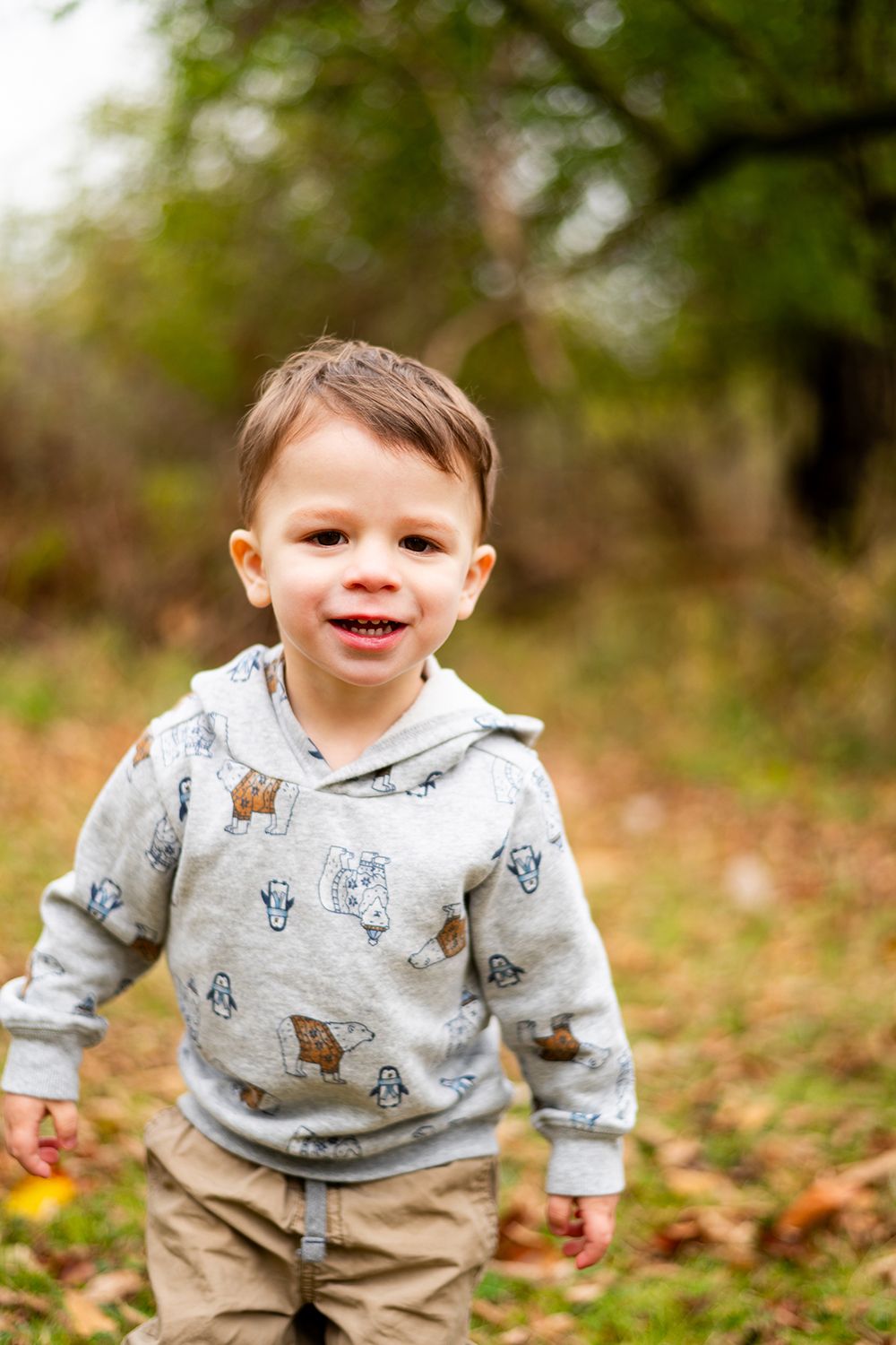 Little one in a gray printed hoodie enjoys playing outdoors in a natural fall setting.
