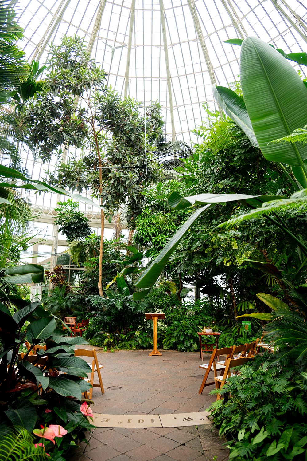 Lush indoor greenhouse conservatory with tropical plants, banana leaves and winding brick pathway under glass dome ceiling.