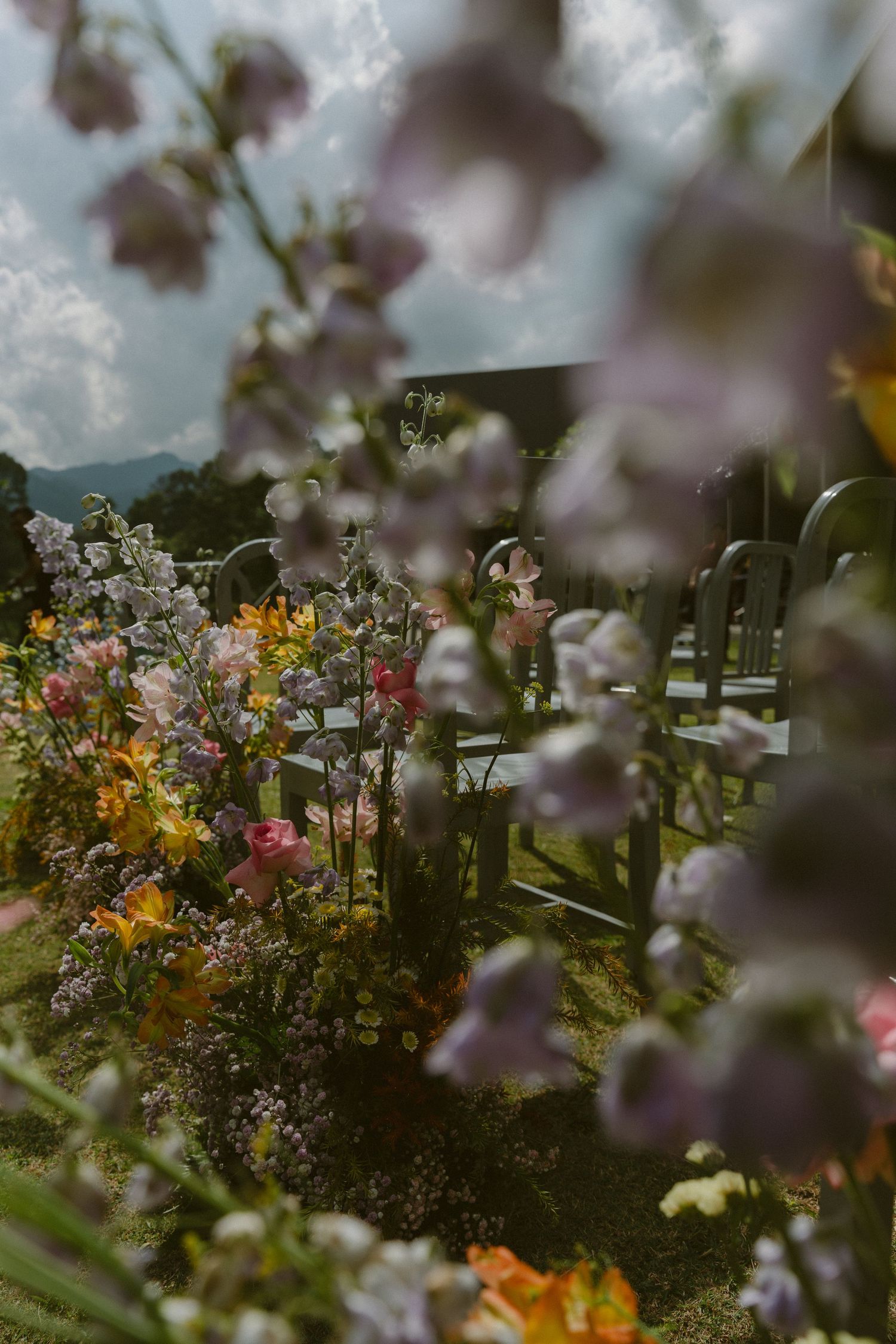A dreamy garden view through cherry blossoms showcasing vibrant flowers and a wooden fence in soft focus.