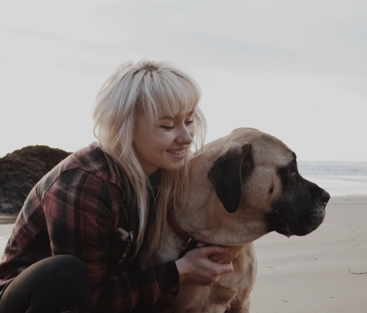 Mastiff dog and owner sharing a tender moment on a misty beach.
