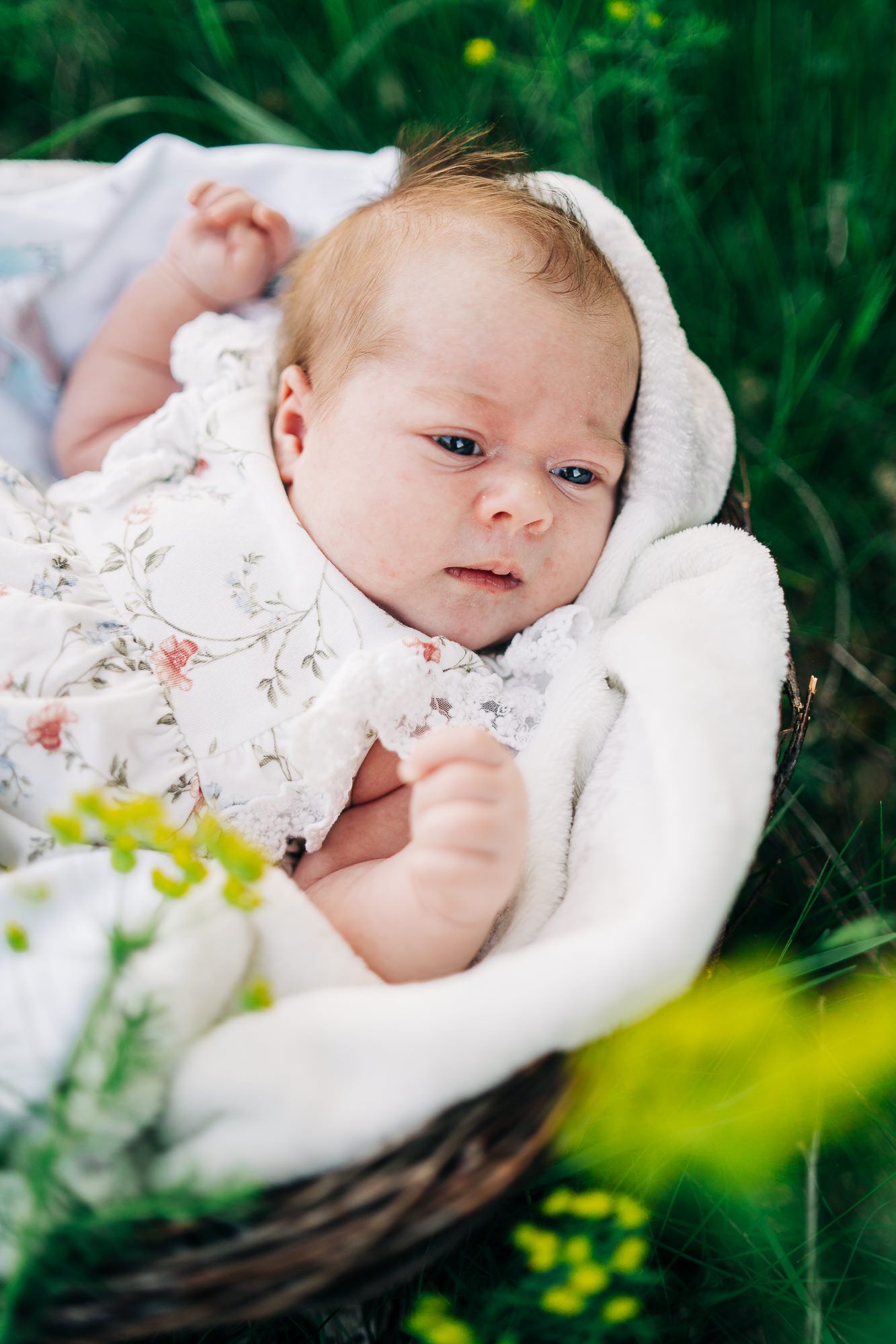 A baby wearing a floral outfit rests in a white-lined wicker basket surrounded by green foliage and yellow flowers.