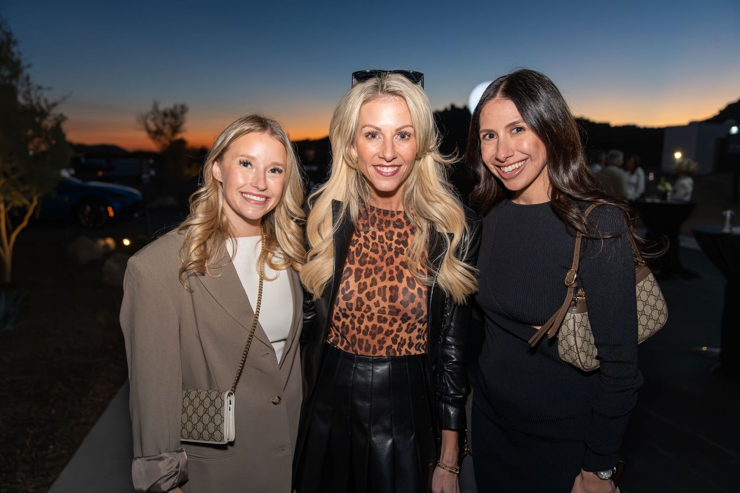 girl wearing a brown blazer, woman wearing a cheetah print blouse and black skirt, woman wearing a long-sleeved black dress