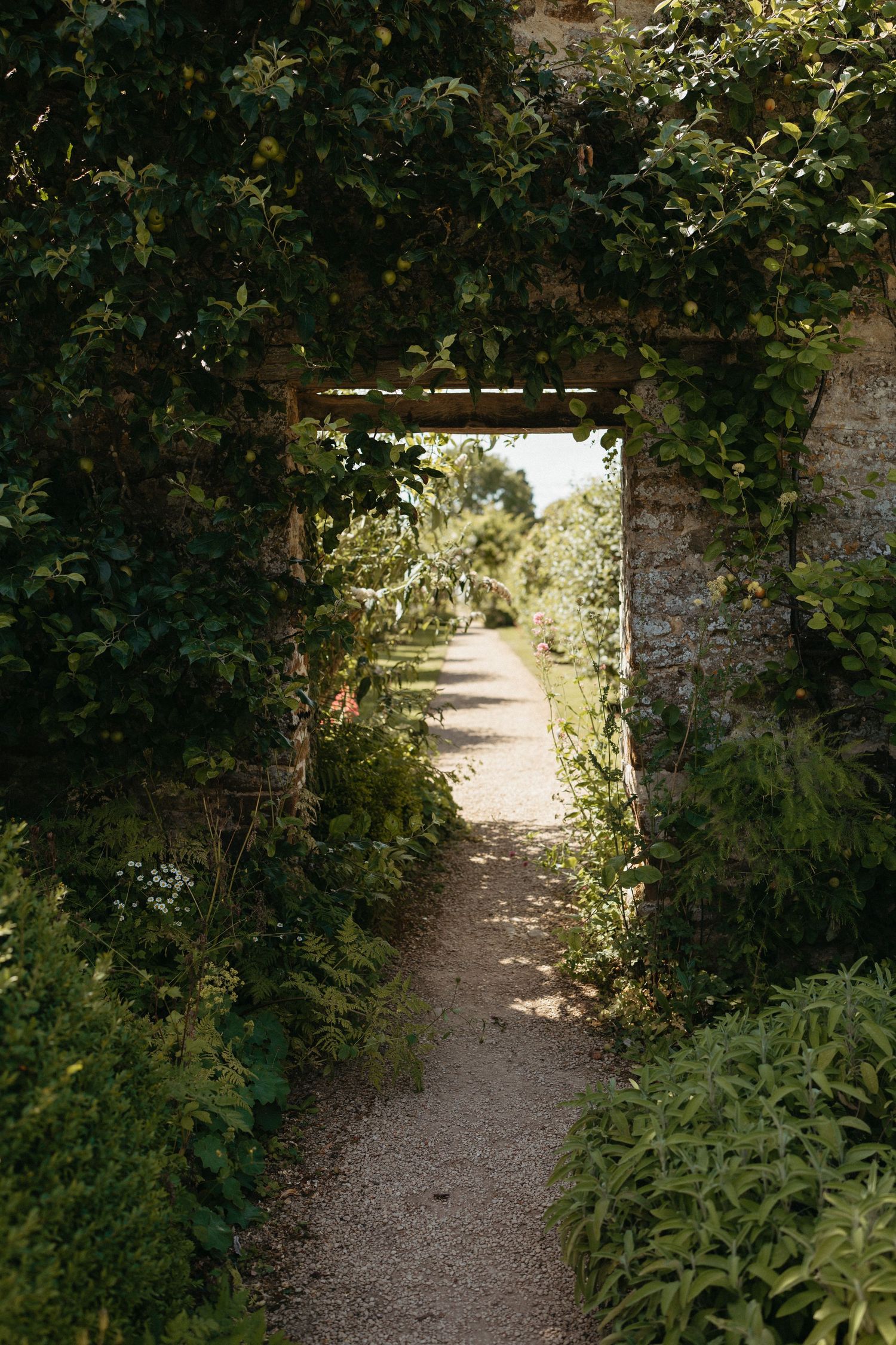 Winding garden path lined with lush greenery and stone walls.