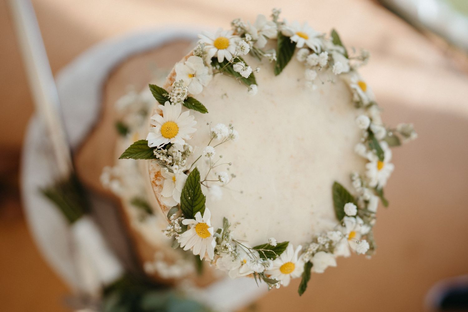 A delicate flower crown made with white daisies and green foliage.
