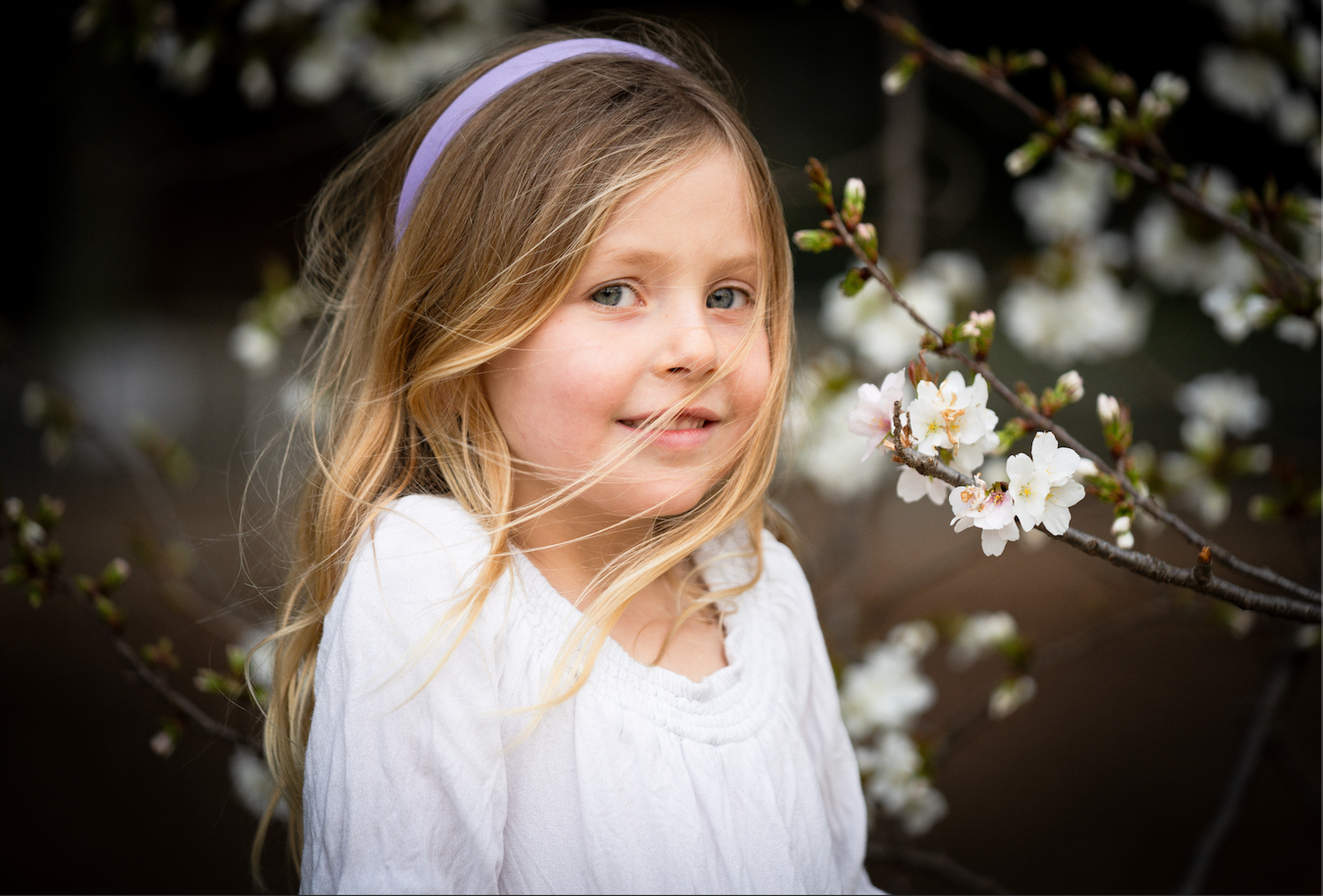 A springtime portrait near blooming white cherry blossoms with soft bokeh background.